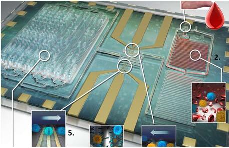 1460364490921955.jpg 20160411164747.jpg