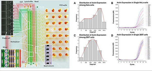 1481703661572279.jpg ydwlk.jpg