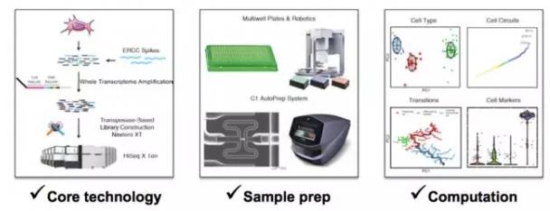 1482916406368136.jpg 20161228171059.jpg