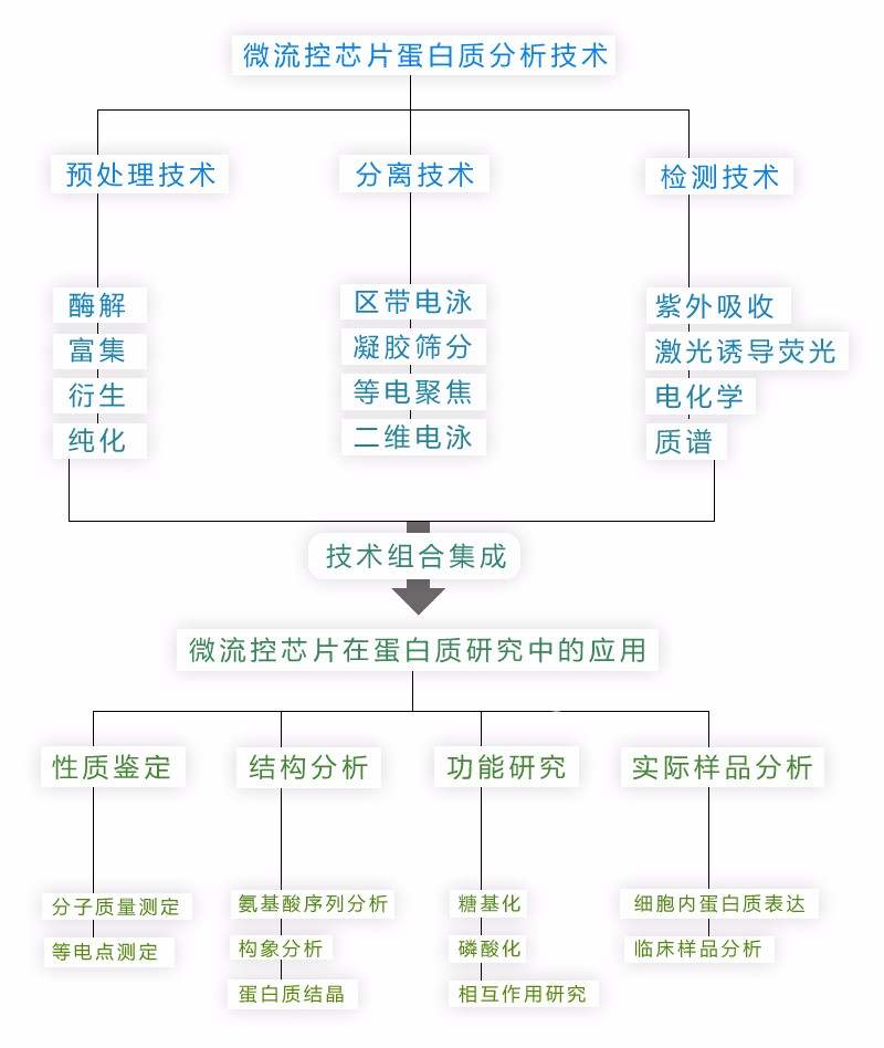 微流控芯片蛋白分析技術 微流控芯片蛋白分析技術