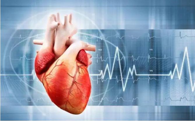 3D打印在心血管構建方面的應用 3D打印在心血管構建方面的應用