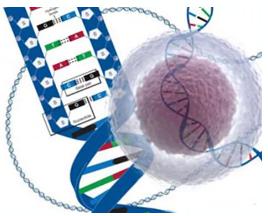 單細胞測序(SCS)技術介紹及應用 單細胞測序(SCS)技術介紹及應用