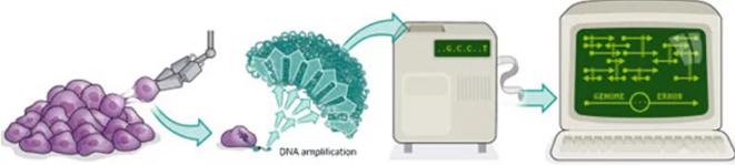 單細胞測序技術的流程 單細胞測序技術的流程
