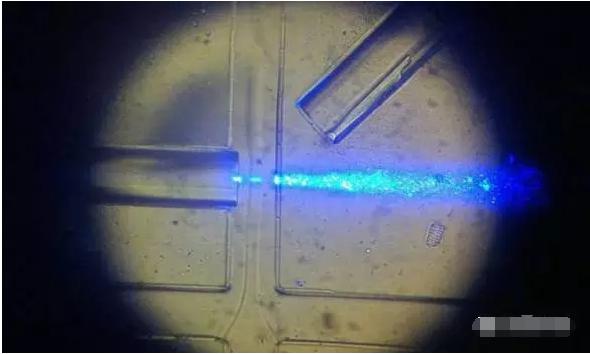 工作中的新型設備:光纖發出藍光,照亮從左向右流動的細胞樣本。(圖片來源:URV) 工作中的新型設備:光纖發出藍光,照亮從左向右流動的細胞樣本。(圖片來源:URV)