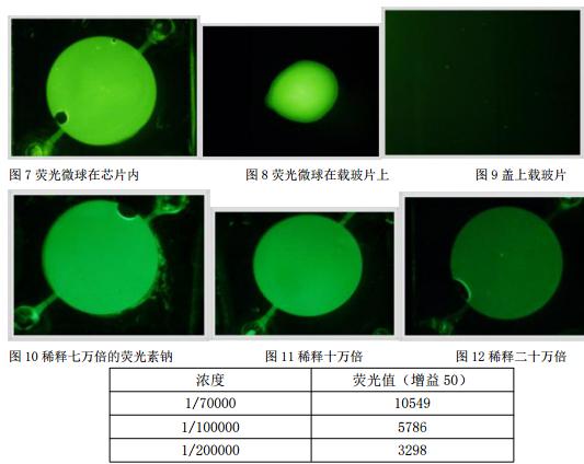 熒光素鈉溶液的熒光值 熒光素鈉溶液的熒光值
