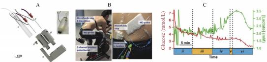 圖 1 檢測血糖和乳酸的可穿戴式微流控芯片檢測系統 圖 1 檢測血糖和乳酸的可穿戴式微流控芯片檢測系統