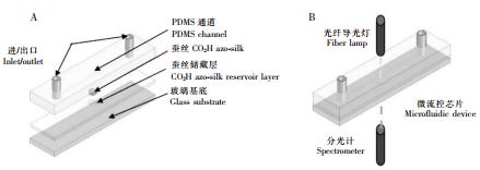 圖 3 基于 PDMS 材質的可穿戴式的汗液 pH 檢測芯片 圖 3 基于 PDMS 材質的可穿戴式的汗液 pH 檢測芯片