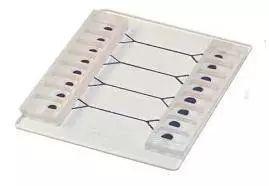 細(xì)胞培養(yǎng)微流控芯片 細(xì)胞培養(yǎng)微流控芯片