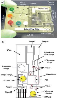 聚碳酸酯微流體盒，其中袋填充染料更好的可視化，他們被設計來存儲各種試劑和緩沖區(qū)