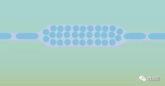 用于高通量篩選疾病生物標志物的液滴微流控技術 用于高通量篩選疾病生物標志物的液滴微流控技術