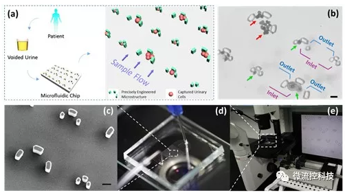 微流控技術(shù)在膀胱癌無創(chuàng)檢測(cè)領(lǐng)域取得重要進(jìn)展 微流控技術(shù)在膀胱癌無創(chuàng)檢測(cè)領(lǐng)域取得重要進(jìn)展
