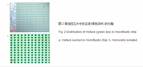 微流控芯片中反應液綠色染料的分配 微流控芯片中反應液綠色染料的分配
