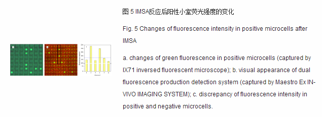 imsa反應后陽性下室熒光強度的變化 imsa反應后陽性下室熒光強度的變化