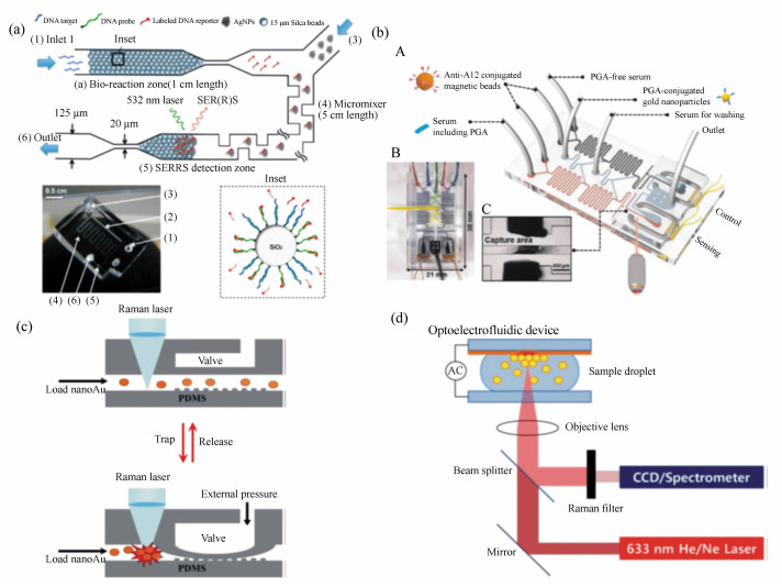 集成DNA競爭取代序列檢測的SERRS微流微系統