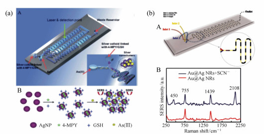 用來檢測砷離子的微流芯片示意圖