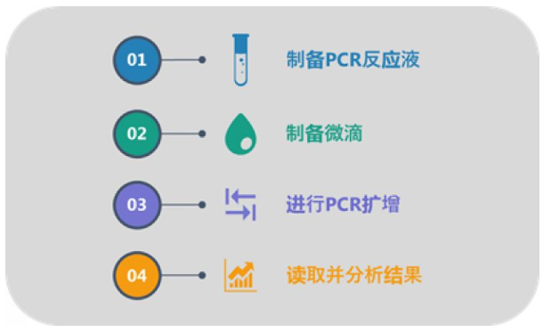QX200 ddPCR的簡(jiǎn)易操作流程