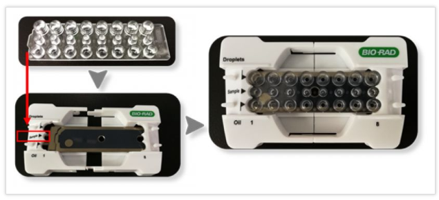 將8孔微滴生成板打開(kāi)包裝，安裝到支架上，注意微滴生成板的方向與支架上標(biāo)記方向一致