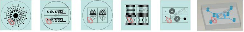 微流控芯片設(shè)計加工服務(wù) 微流控芯片設(shè)計加工服務(wù)