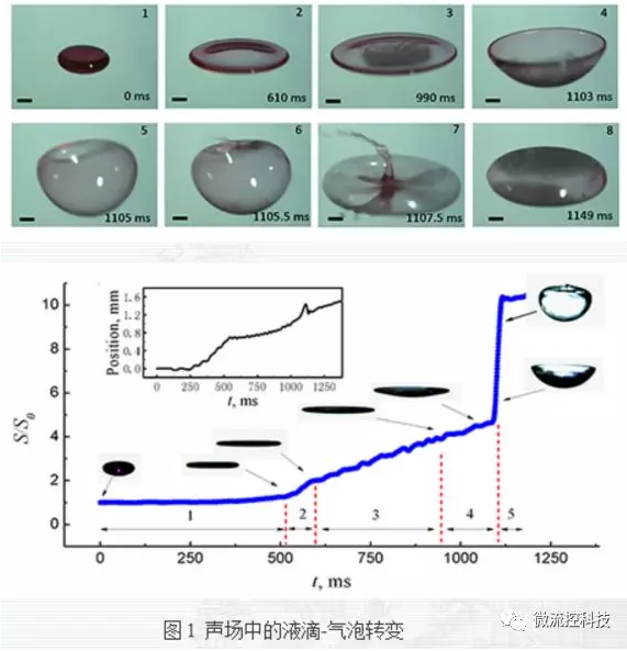 聲場(chǎng)中的液滴-氣泡轉(zhuǎn)變