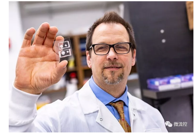 德克薩斯大學達拉斯分校的生物工程師與德克薩斯大學西南醫學中心的合作者能夠創建角膜組織模型，并利用它們來研究受損眼睛是如何愈合的。