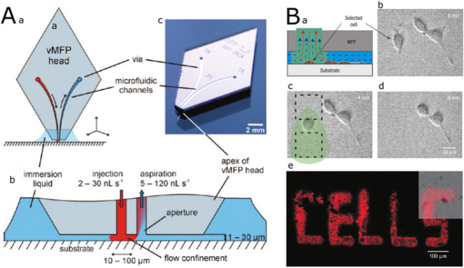 1674177639440707.png 2.png