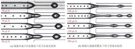 1712627497603213.png 圖片7.png