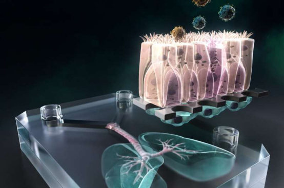 1755149585745192.png image.png