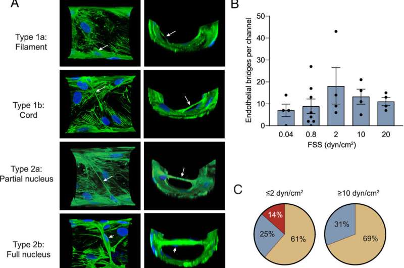 1755755792492429.jpg 1.jpg