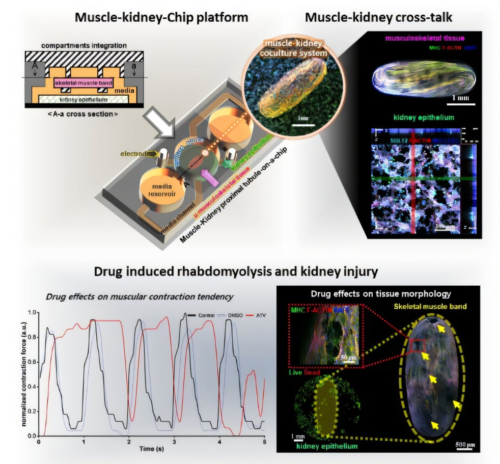 1768899203642272.png c894fddbfbc118004baf887f72e1b4a2.png